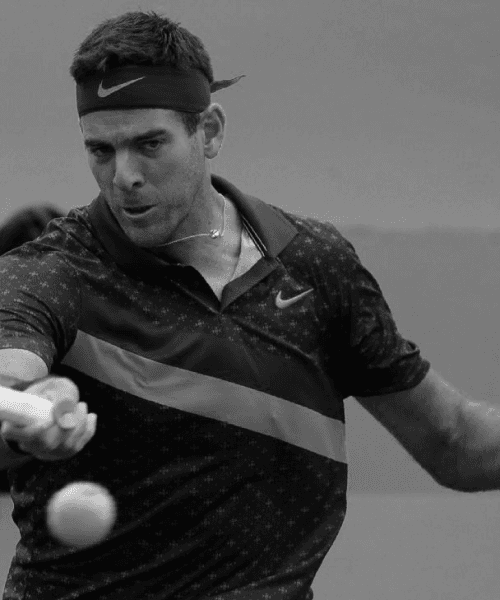 Juan Martin del Potro